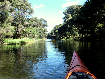 Horahora Estuary